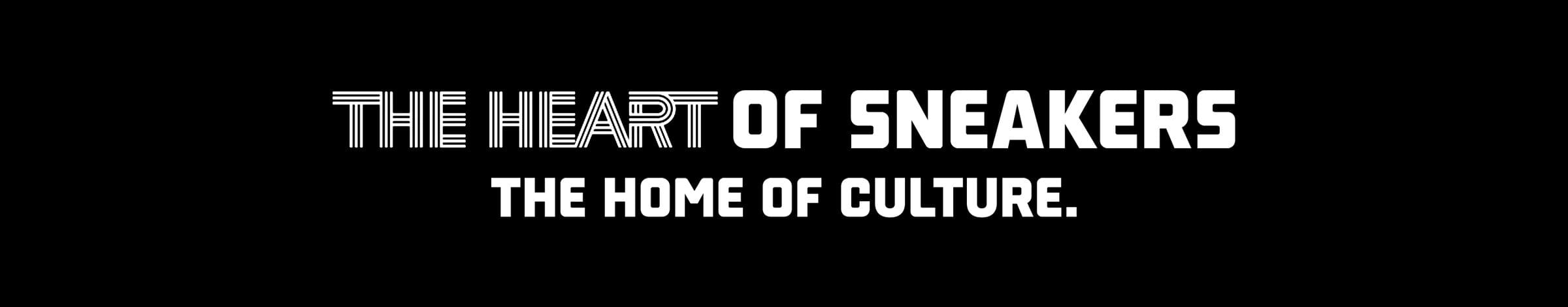 DM_20250813150910_001