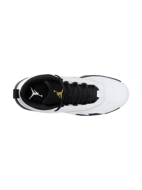 Jordan Max Aura 6 Sneakers