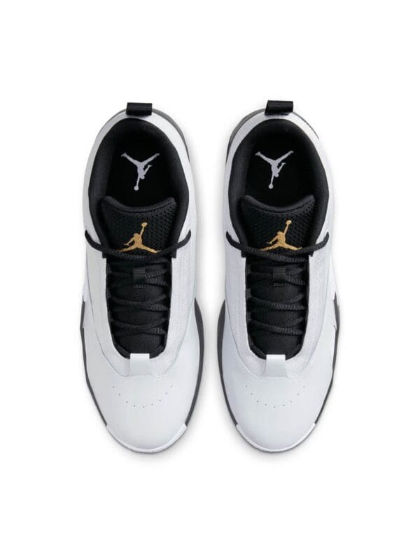 Jordan Max Aura 6 Sneakers